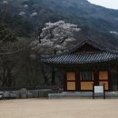 표충사 1 이미지