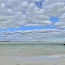 J 김녕 169 이미지