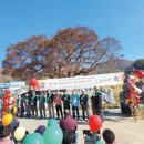 옥현1리 이미지