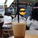 티즈컴퍼니 | 호주와인 시음회 후기