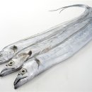 썬 맞춤운동센터 이미지