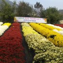 추계진료소 이미지