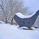 만항재 Daum카페