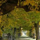 한국문화와 현대사회의 이해 이미지