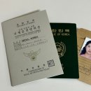 서울광진경찰서 | 🇺🇸미국여행 준비, 국제면허증 발급(서울광진경찰서), 가성비 여권 사진관(보니스튜디오)