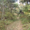 남성공원 이미지