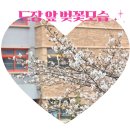 아이퍼스트플러스 이미지