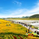 장성수퍼 이미지