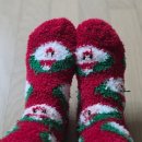 말무리염소농장 | 흑염소진액 어의보감으로 수족냉증 겨울관리 후기