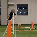 럭키유치원 이미지