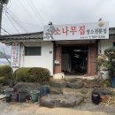 소나무집 이미지