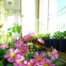 엠에이치알 이미지