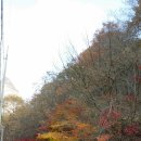 역전정육점 이미지