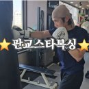 스퍼트 복싱 이미지