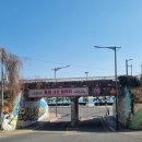 달보드레하우스커피 | [내돈내산] 멋진 바다와 해변열차 뷰 송정 카페_수월경화