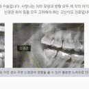 더미소치과교정과치과의원 이미지