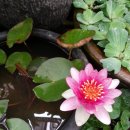 천무스쿨 이미지