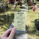 김삿갓밥집(본점) 이미지