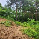 강릉 명 부동산 공인중개사사무소 이미지