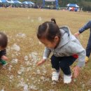 킨더하바어린이집 이미지