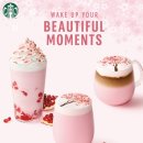 체리블라썸 이미지