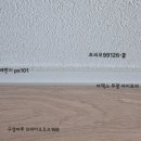 우디아이랜드 | 동탄 반셀인 내돈내산(필름/주방/마루)