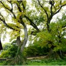 영암수성사 이미지