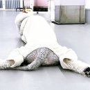 마이리틀메이트 이미지