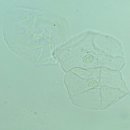 사이언스비뇨의학과의원 이미지