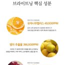 리:유스 이미지