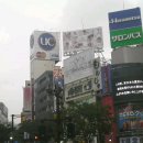 시부야 Daum카페
