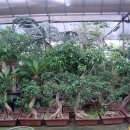 남동화원 이미지