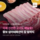 뚱보축산