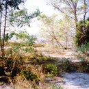 장도포대지 이미지