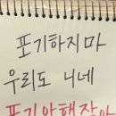 클립애드