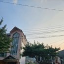 홈마트수산코너 이미지