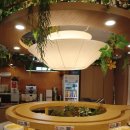 한성기린프라자 앞 | 홍대 훠궈 무한리필 기린1인용회전훠궈