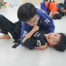 키즈mma짐 네이버블로그