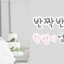 도담반점 이미지