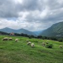 테마투어(목장 체험) 이미지