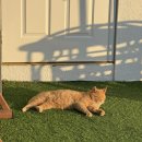 헤이미쉬 펜션 이미지