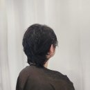 헤어블레스 이미지