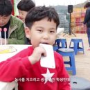 해뜨는농장 이미지