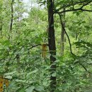 백운사 주차장 이미지