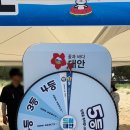 2025 태안 놀자 댕댕 한 바퀴 후기