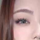 새늘래쉬