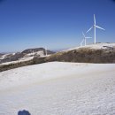 대호목장 이미지