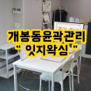 잇지왁싱(ITZZY WAXING) 네이버블로그
