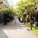 더타이테라스