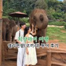 커피 마시는 코끼리 | 치앙마이 필수코스 엘리핀팜(코끼리투어) 내돈내산 Cypress Lanes · 반캉왓까지 하루 투어 후기